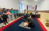 Training on Management of Common Emergencies and Basic Life Support